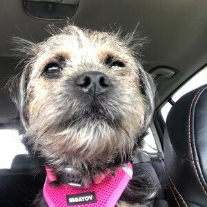 Meet your Posher, Donna